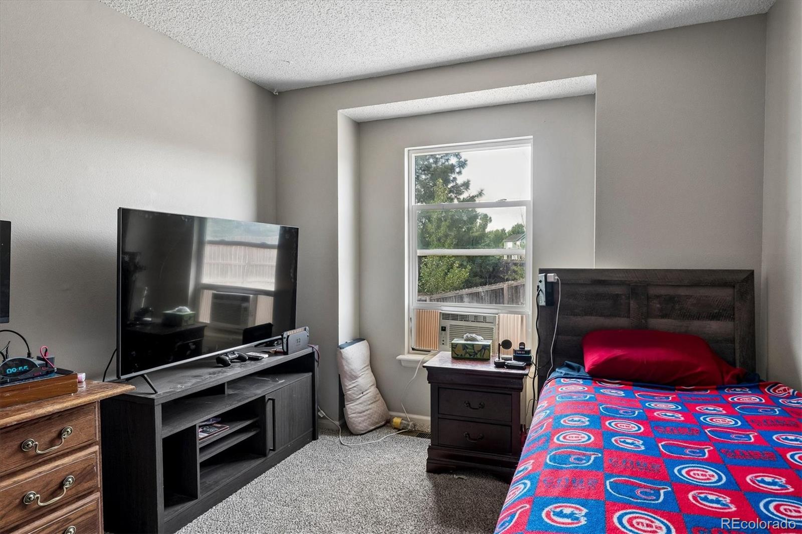 MLS Image #6 for 16655  ninebark way,parker, Colorado