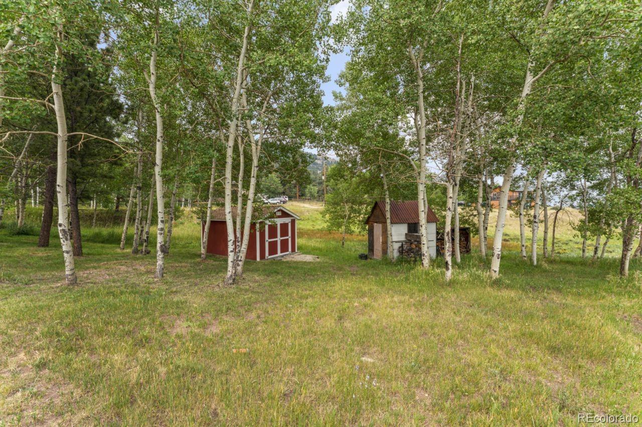 MLS Image #36 for 26292  vosler street,conifer, Colorado
