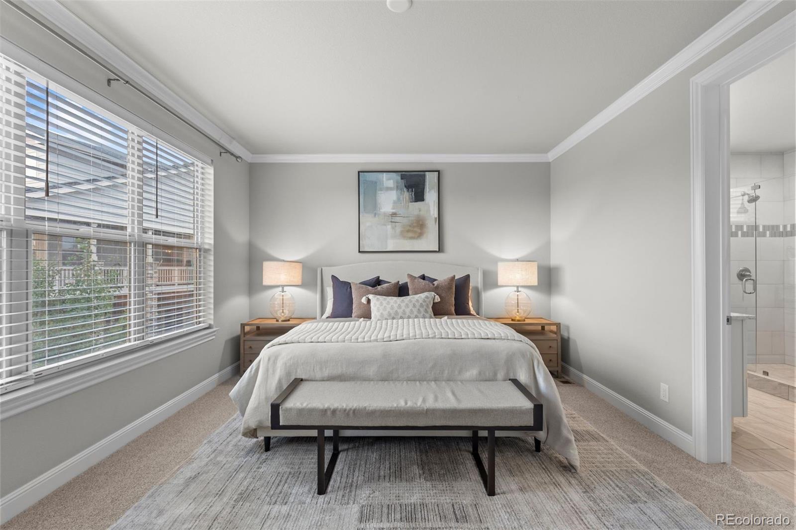 MLS Image #17 for 22463 e mosey circle,parker, Colorado