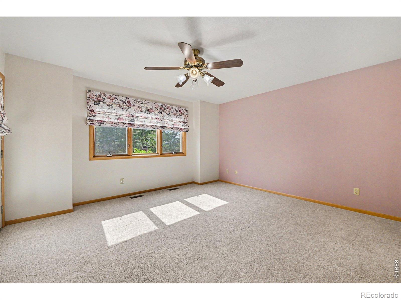 MLS Image #8 for 507  trailwood circle,windsor, Colorado