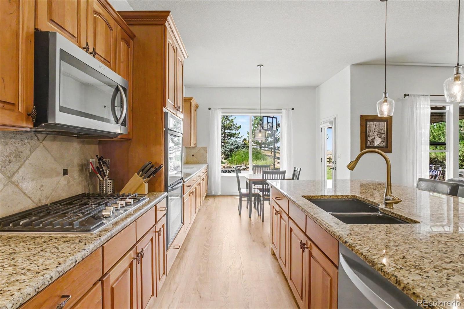 MLS Image #2 for 23000  allendale avenue,parker, Colorado