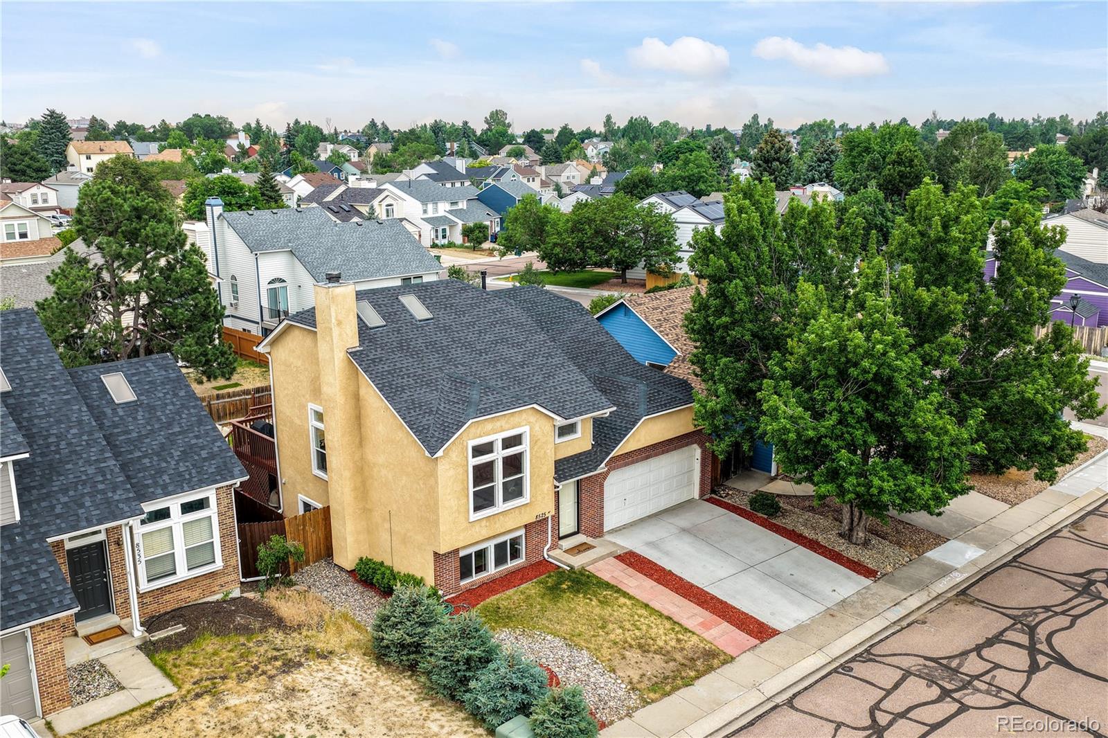 MLS Image #2 for 8525  sassafras drive,colorado springs, Colorado