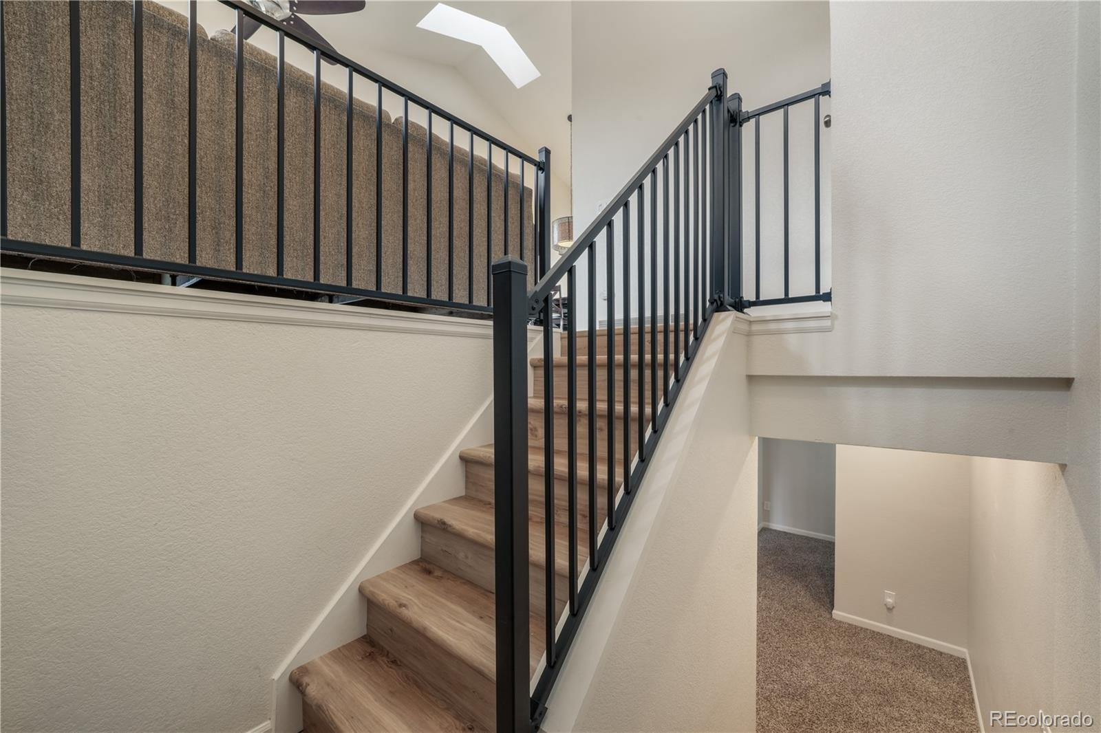 MLS Image #23 for 8525  sassafras drive,colorado springs, Colorado