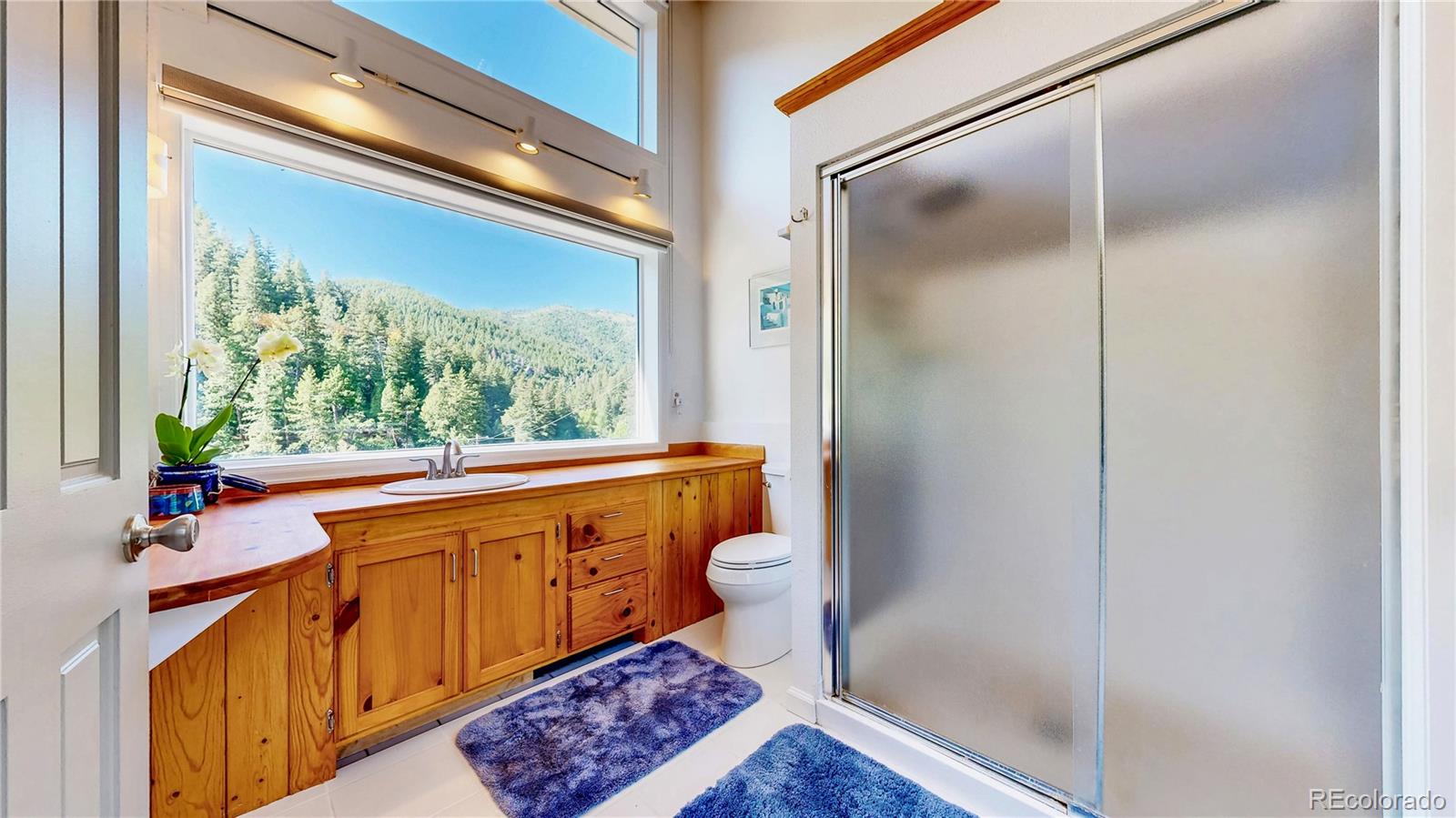 MLS Image #15 for 2602  hidden valley road,sedalia, Colorado