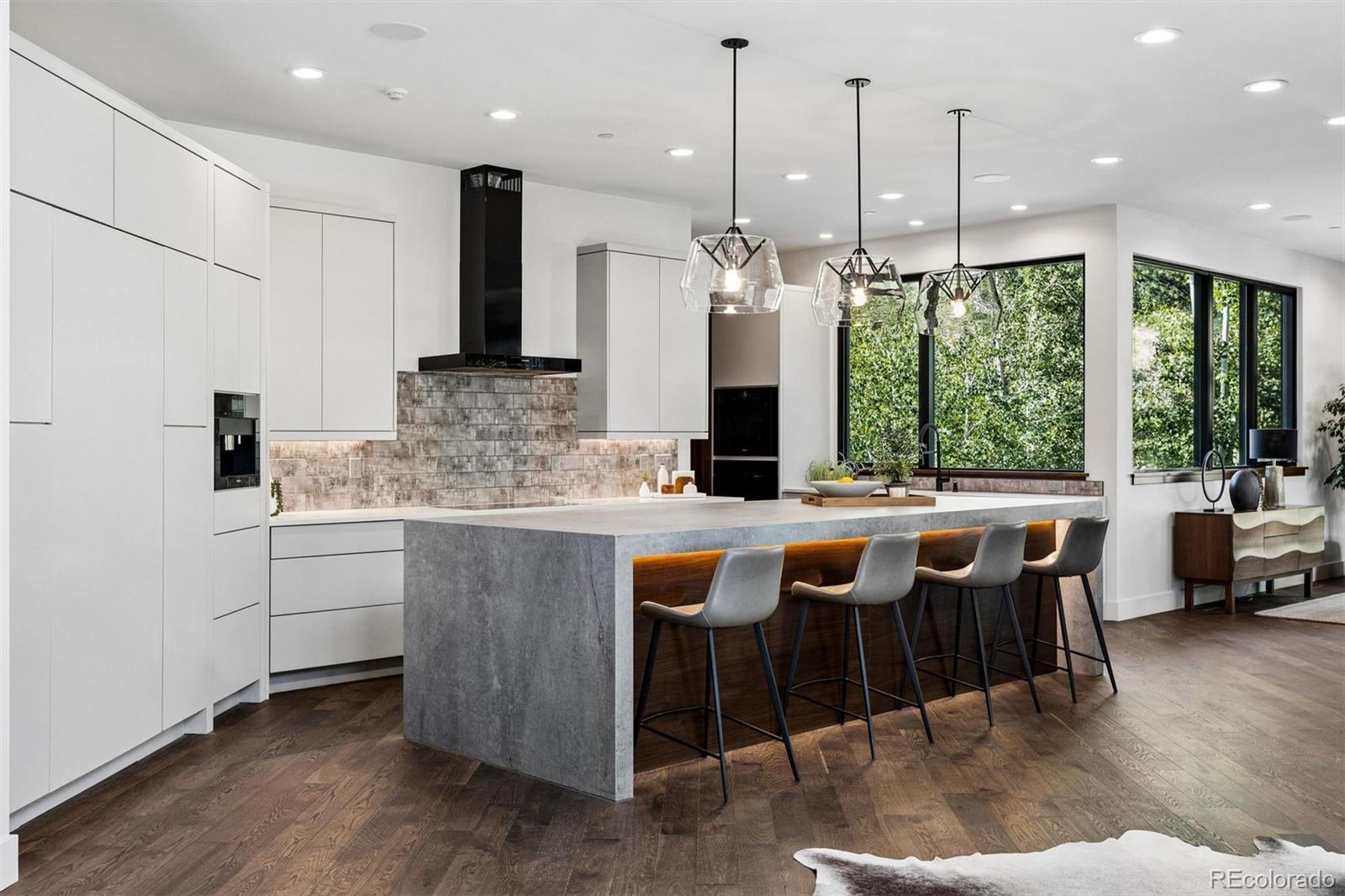 MLS Image #10 for 11  elk pointe trail,castle rock, Colorado