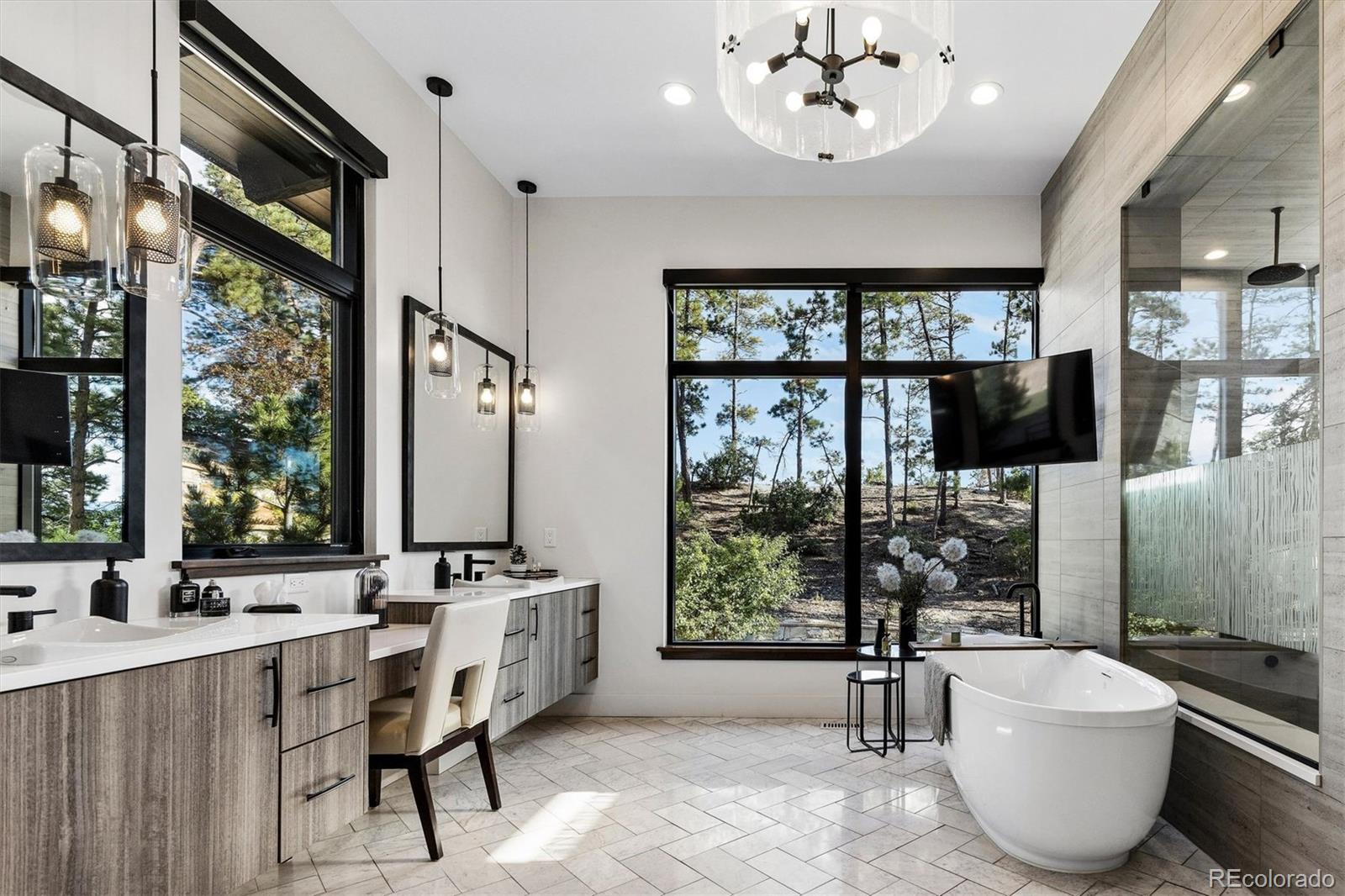 MLS Image #22 for 11  elk pointe trail,castle rock, Colorado