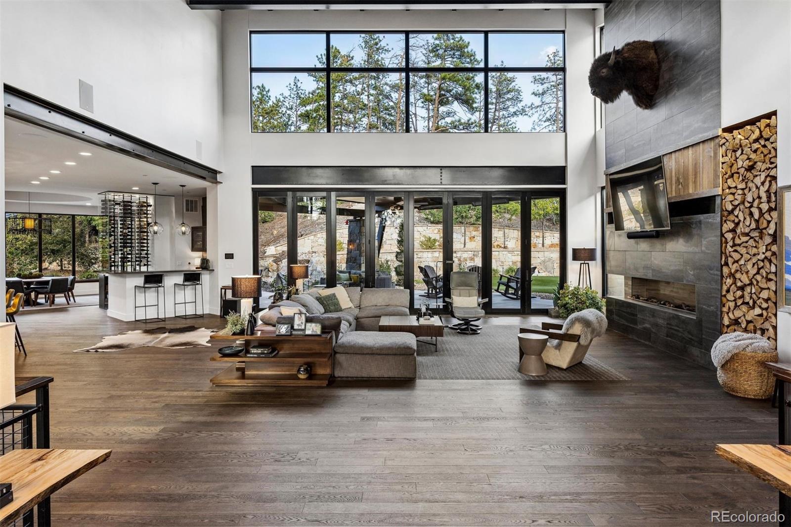 MLS Image #5 for 11  elk pointe trail,castle rock, Colorado
