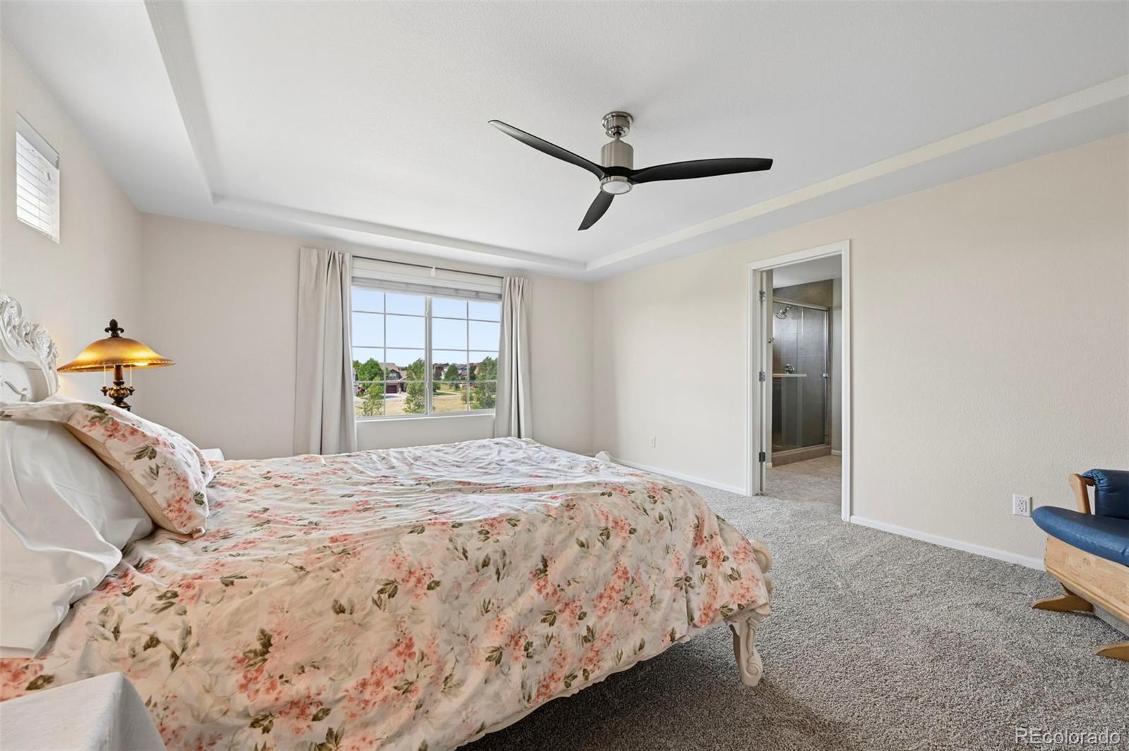 MLS Image #12 for 8820  briar brush lane,colorado springs, Colorado