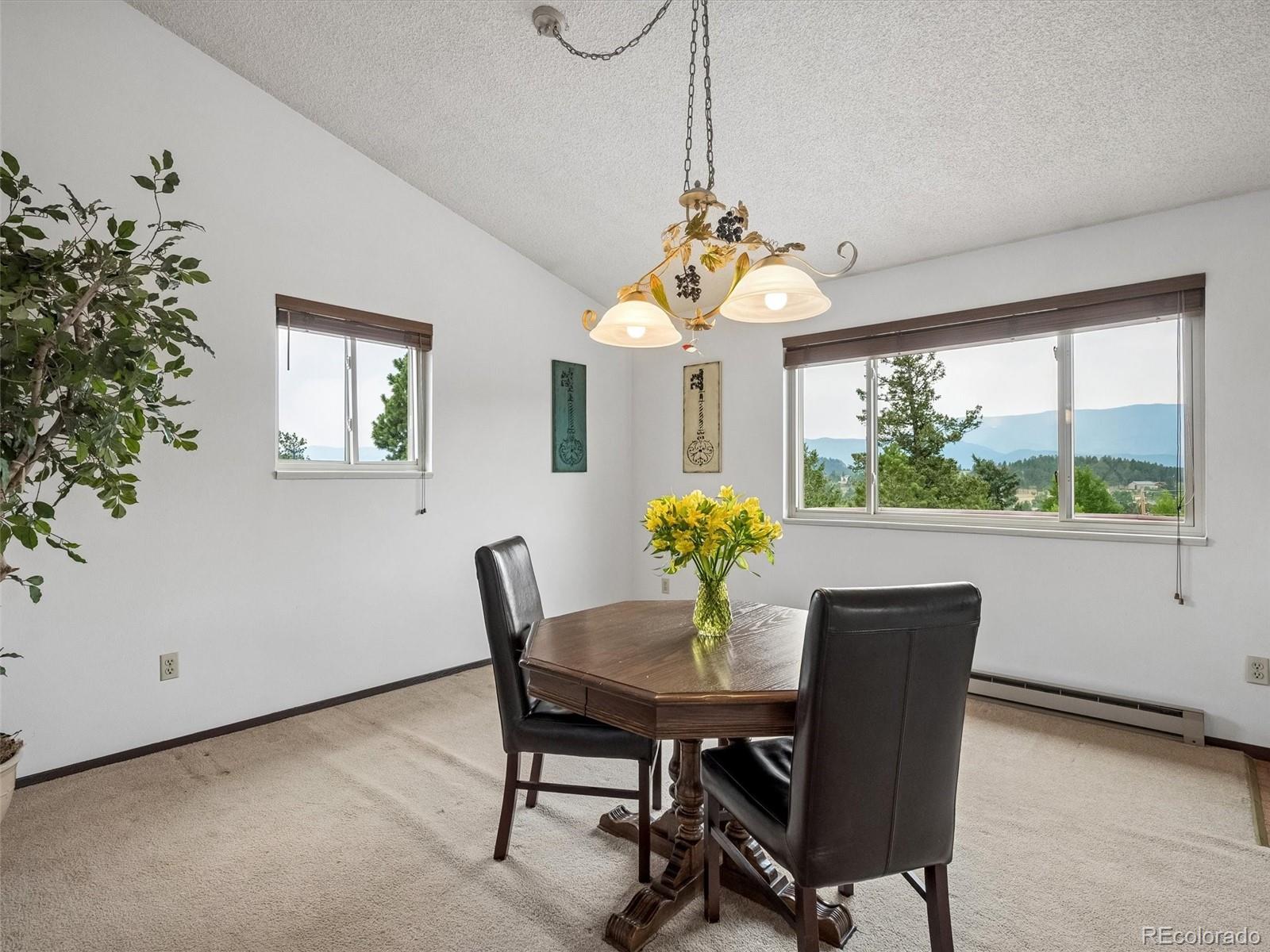 MLS Image #10 for 55  deer trail drive,bailey, Colorado