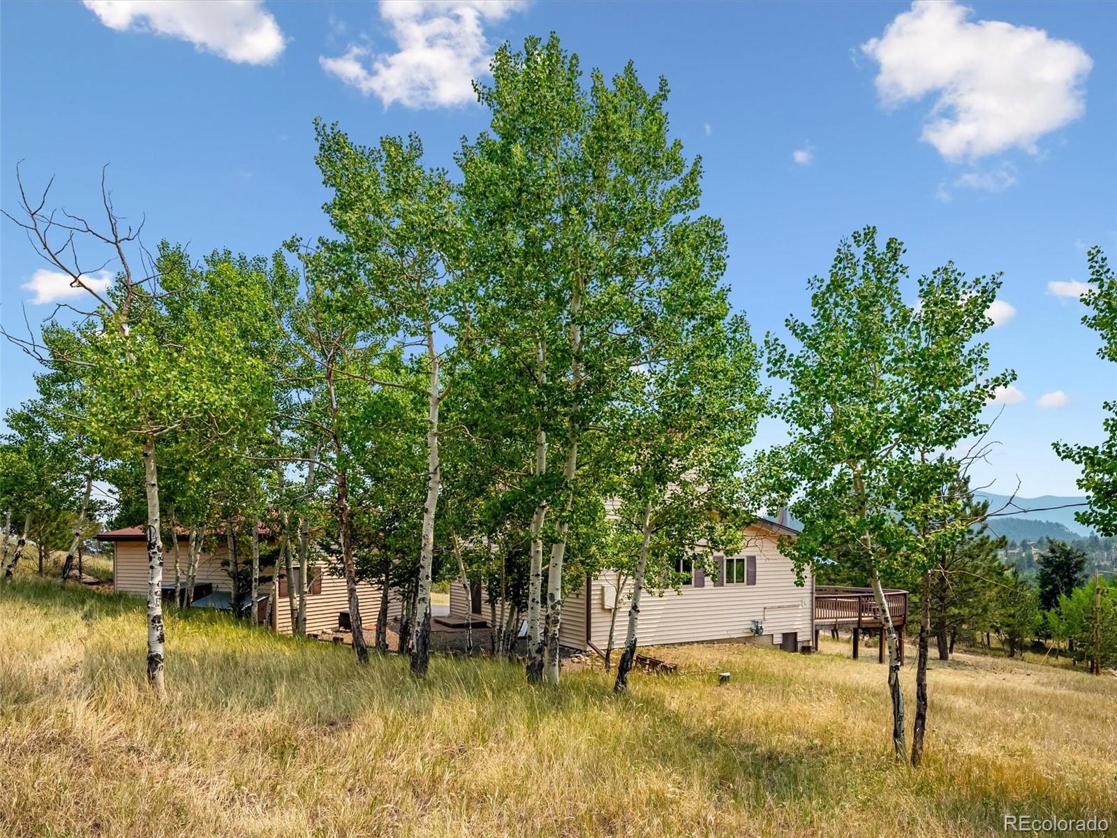 MLS Image #25 for 55  deer trail drive,bailey, Colorado