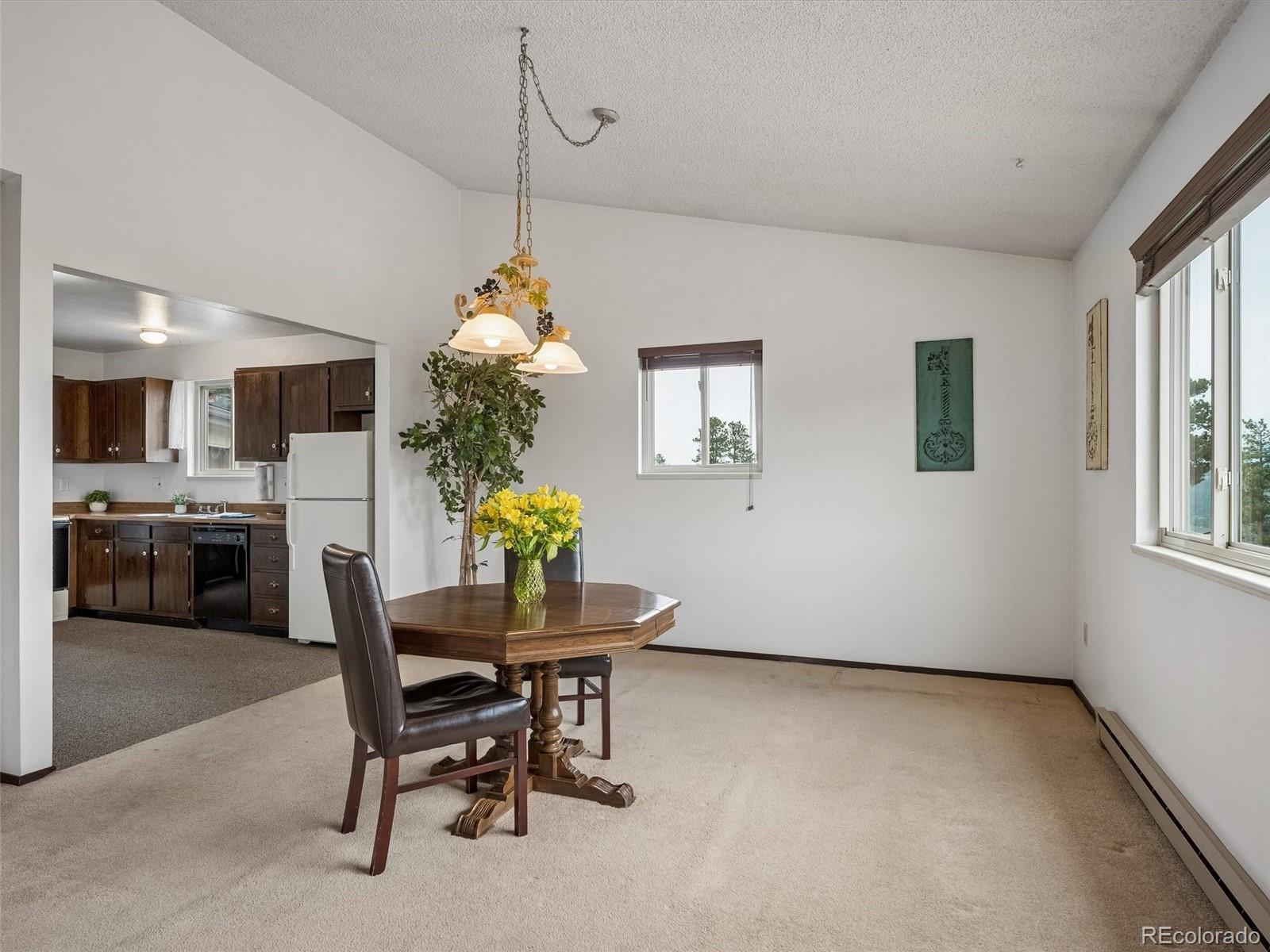 MLS Image #8 for 55  deer trail drive,bailey, Colorado