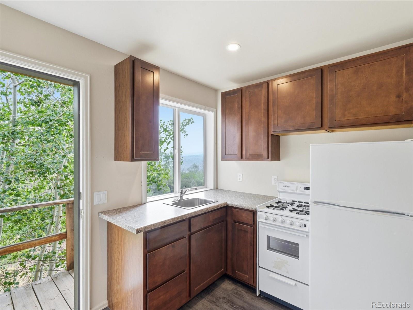 MLS Image #15 for 531  buck point drive,carbondale, Colorado