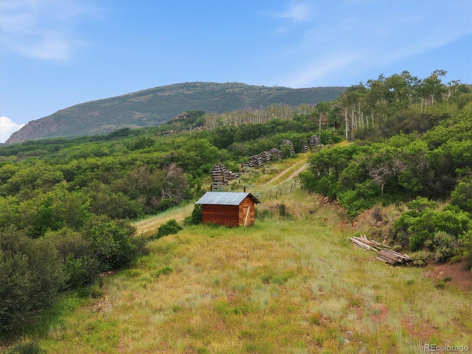 MLS Image #45 for 531  buck point drive,carbondale, Colorado