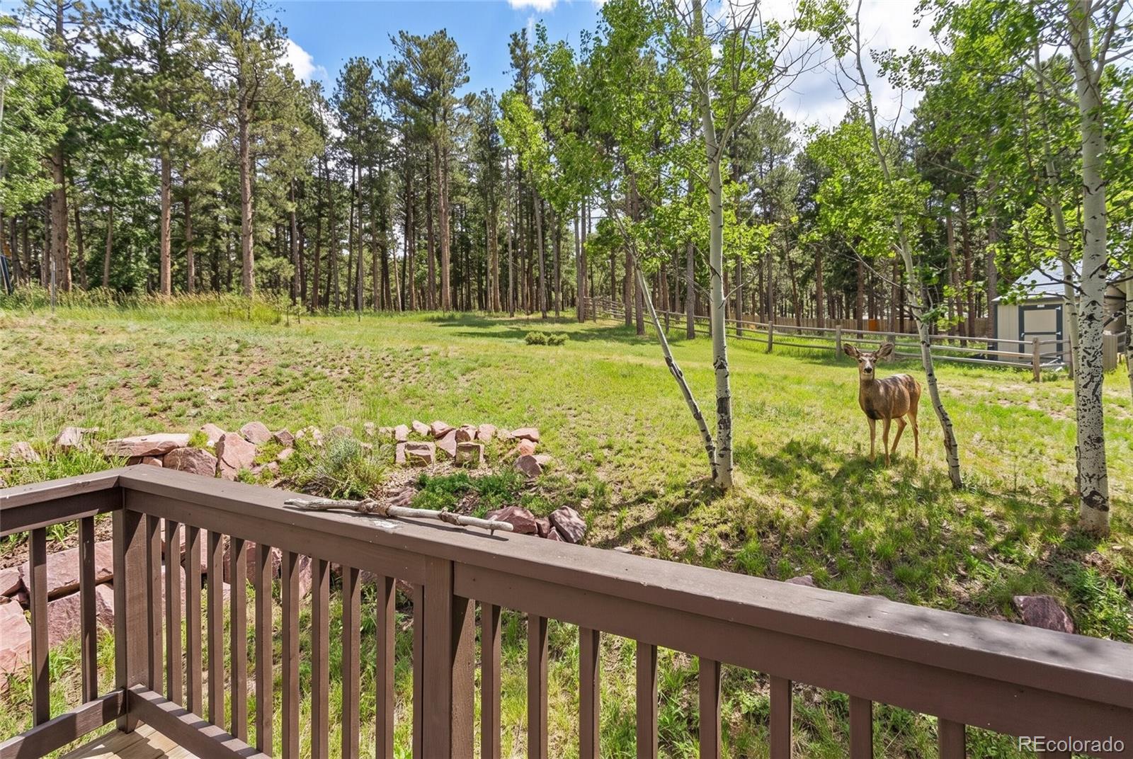 MLS Image #34 for 1157  ptarmigan drive ,woodland park, Colorado