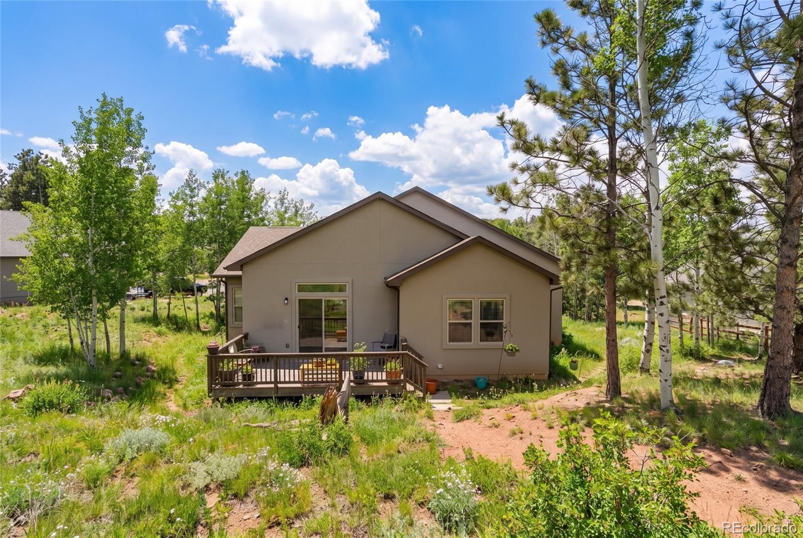 MLS Image #43 for 1157  ptarmigan drive ,woodland park, Colorado