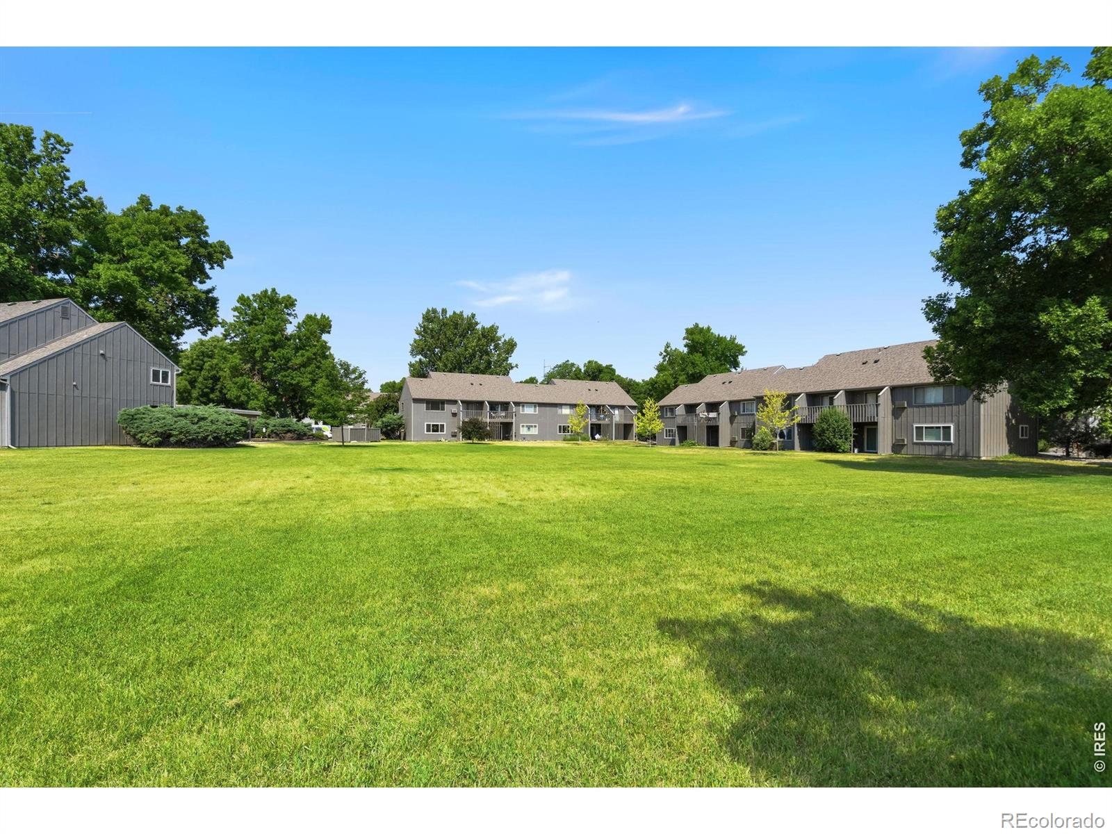 MLS Image #33 for 801 e drake road,fort collins, Colorado