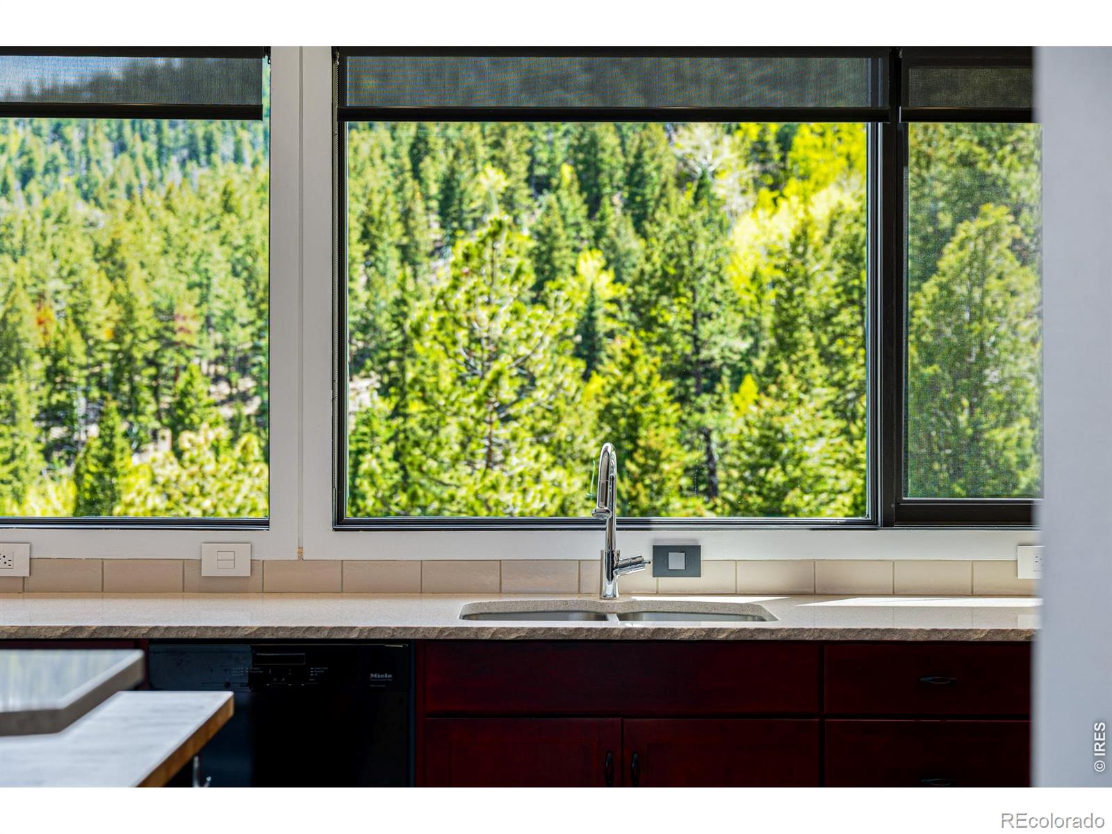 MLS Image #16 for 5896  peregrine trail,golden, Colorado