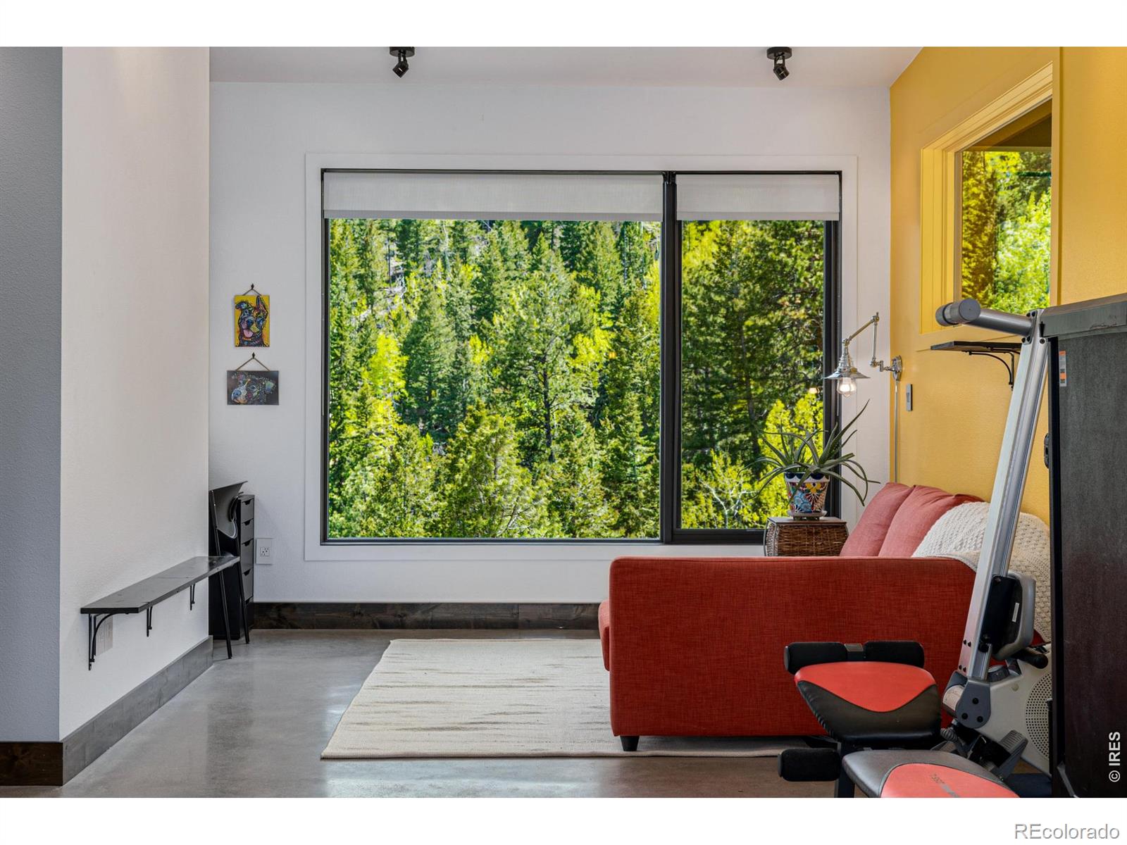 MLS Image #27 for 5896  peregrine trail,golden, Colorado