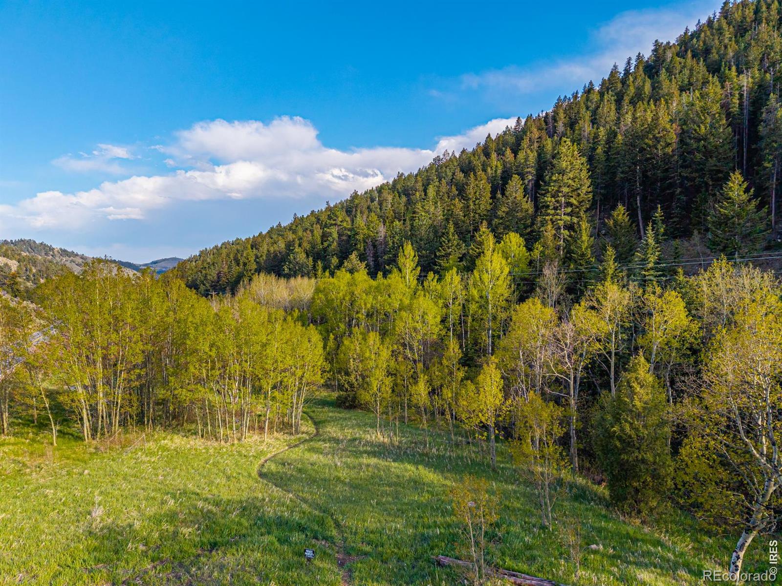 MLS Image #41 for 5896  peregrine trail,golden, Colorado
