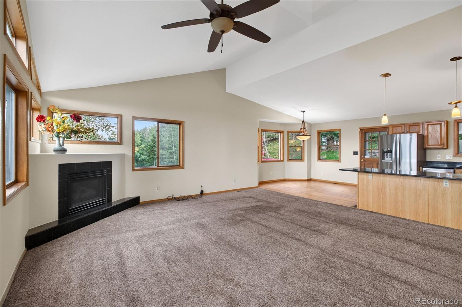MLS Image #4 for 10176  crest view drive,morrison, Colorado