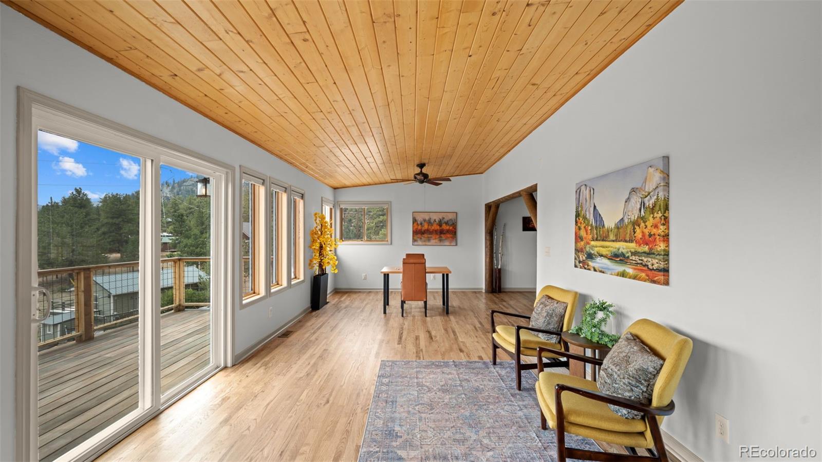 MLS Image #11 for 925  midland court,lake george, Colorado