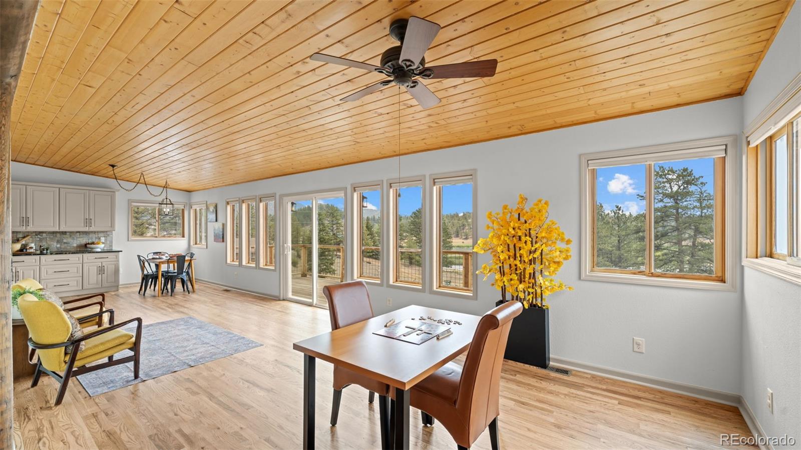 MLS Image #13 for 925  midland court,lake george, Colorado