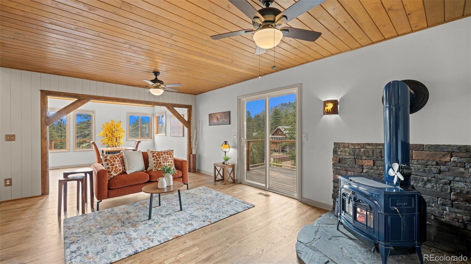 MLS Image #16 for 925  midland court,lake george, Colorado
