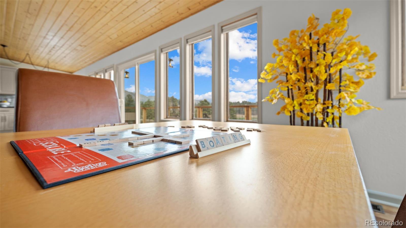 MLS Image #19 for 925  midland court,lake george, Colorado
