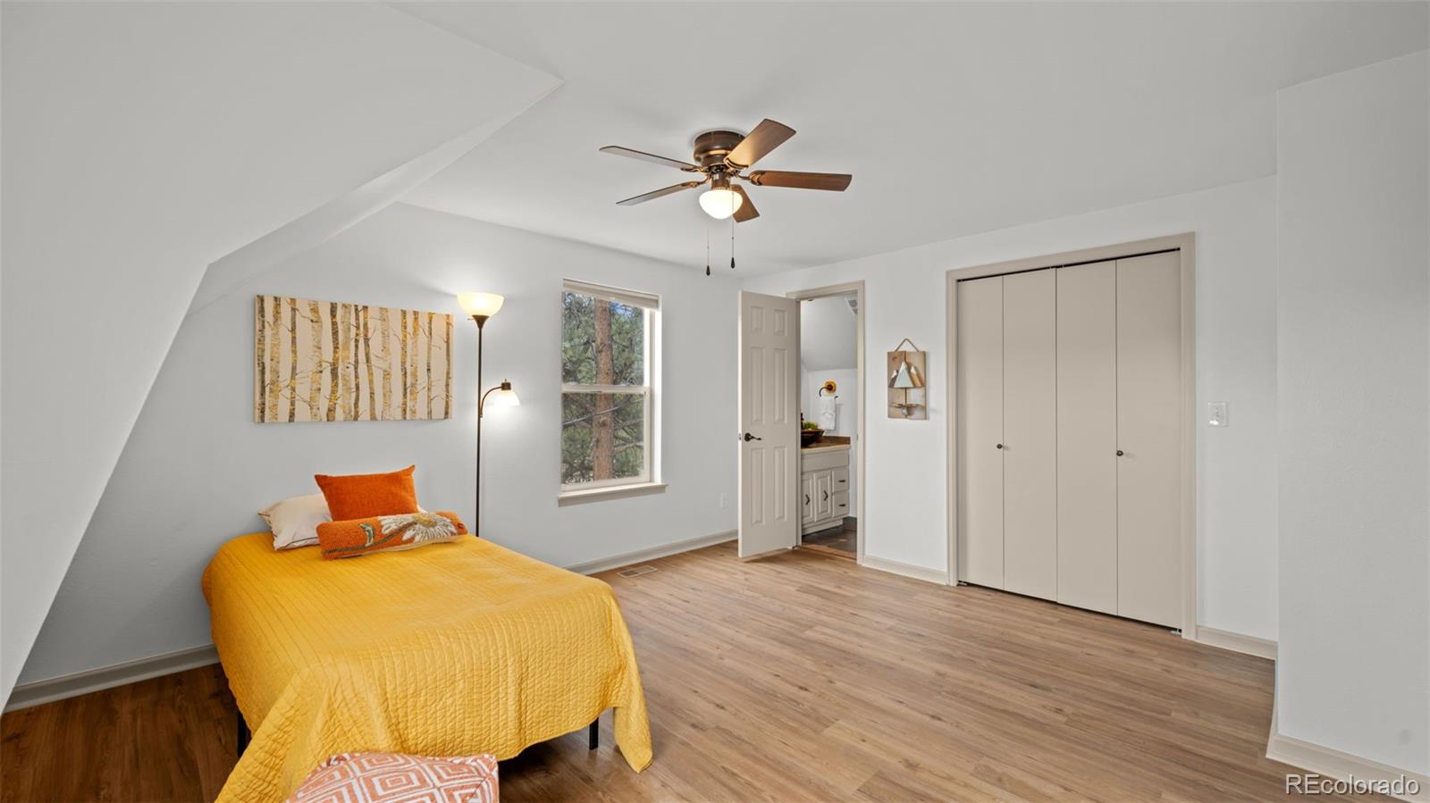 MLS Image #20 for 925  midland court,lake george, Colorado