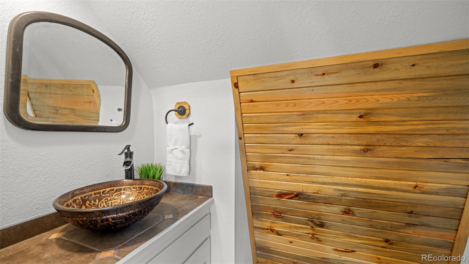 MLS Image #21 for 925  midland court,lake george, Colorado