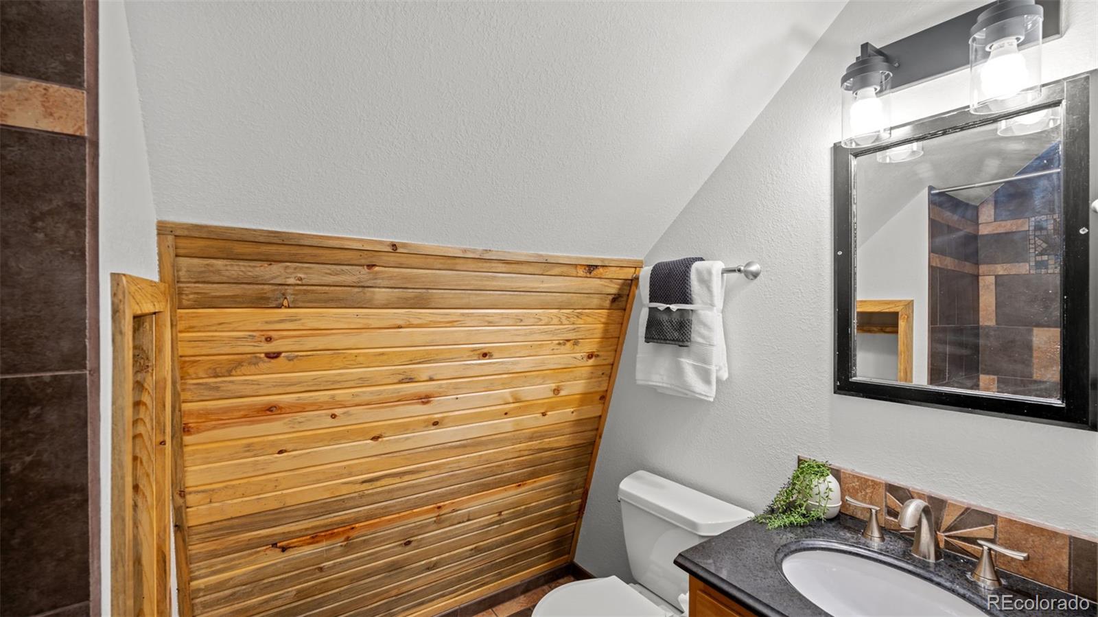 MLS Image #24 for 925  midland court,lake george, Colorado