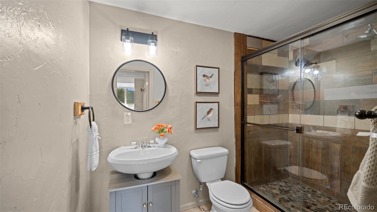 MLS Image #27 for 925  midland court,lake george, Colorado