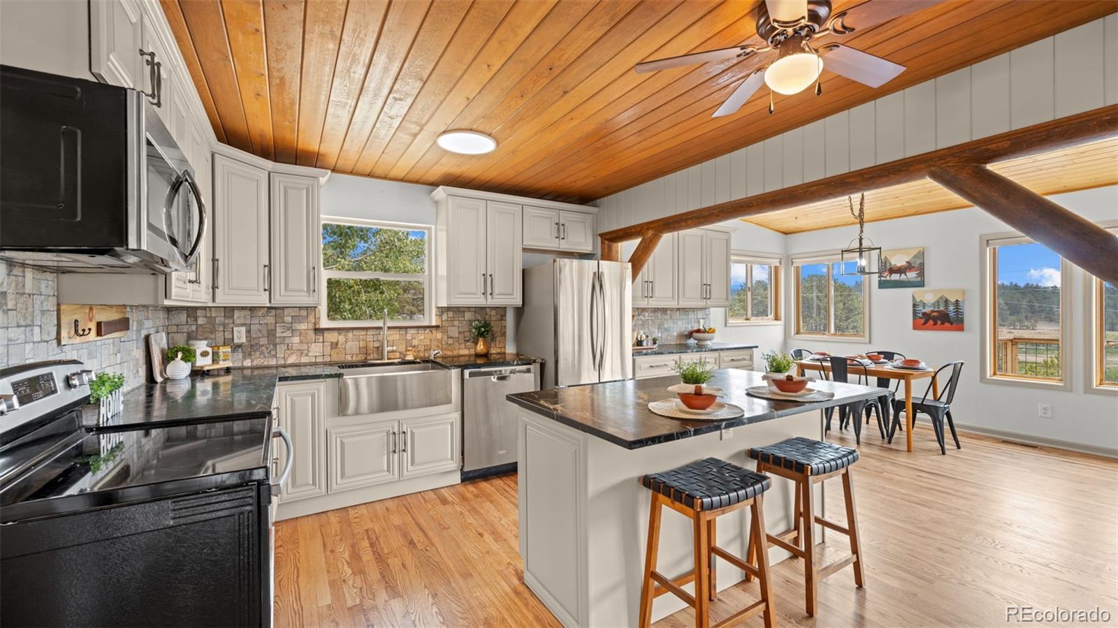 MLS Image #6 for 925  midland court,lake george, Colorado
