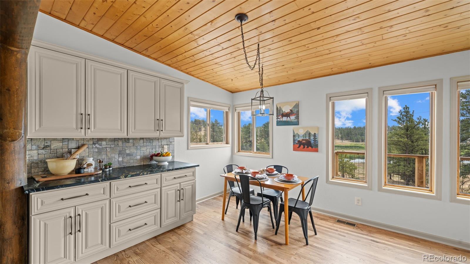 MLS Image #9 for 925  midland court,lake george, Colorado