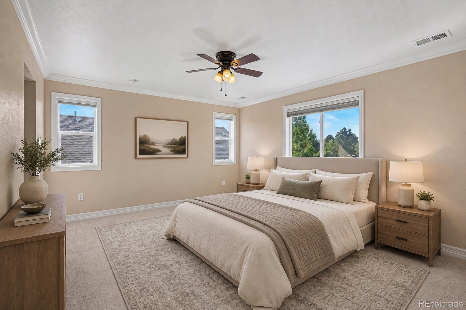 MLS Image #12 for 287  vista cliff circle,castle rock, Colorado
