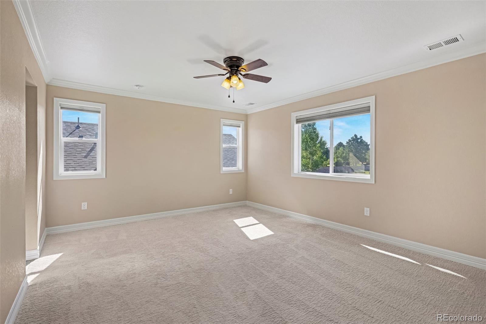MLS Image #13 for 287  vista cliff circle,castle rock, Colorado