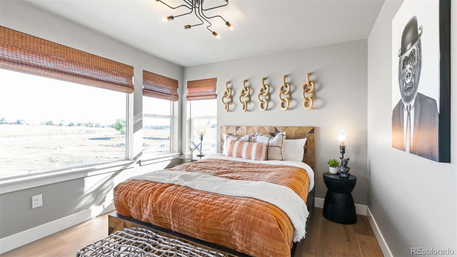 MLS Image #11 for 14219  currant street,broomfield, Colorado