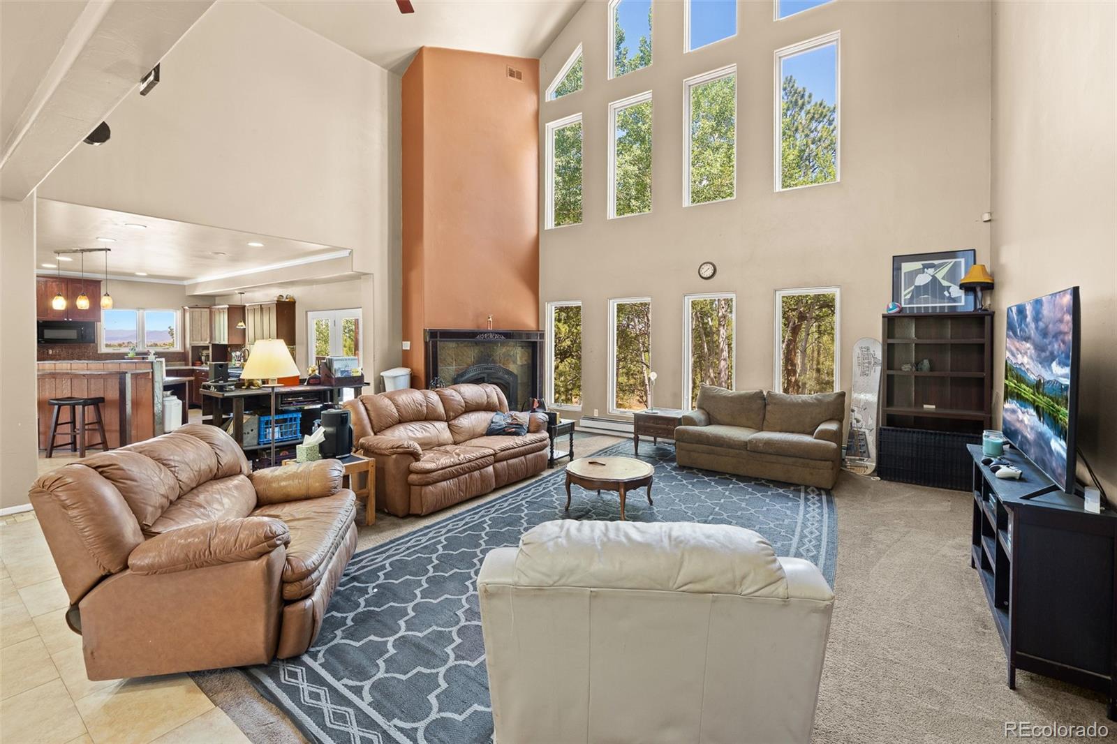 MLS Image #15 for 114  ranier lane,hartsel, Colorado