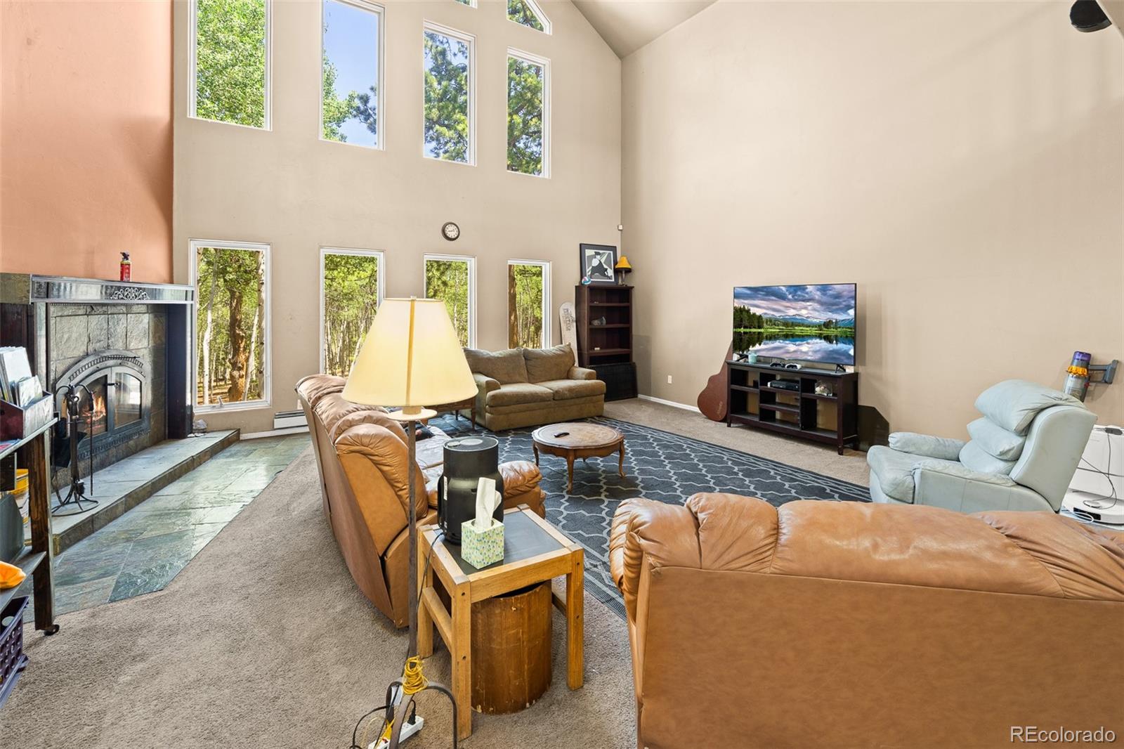 MLS Image #16 for 114  ranier lane,hartsel, Colorado