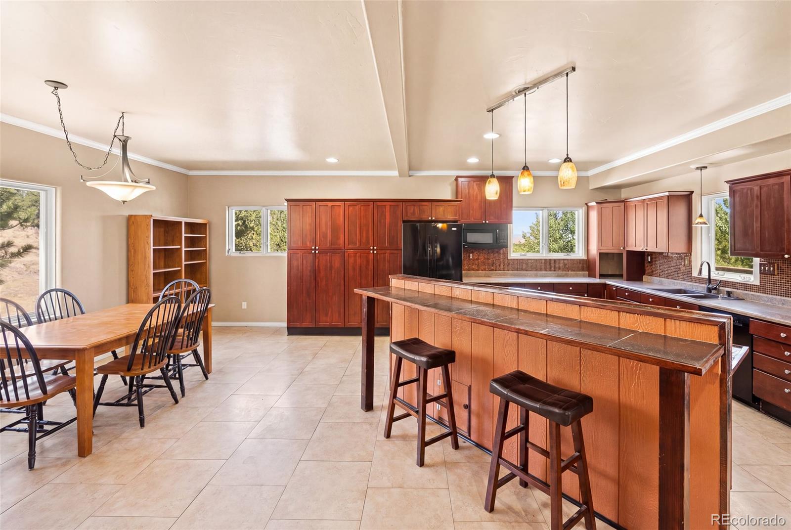 MLS Image #23 for 114  ranier lane,hartsel, Colorado