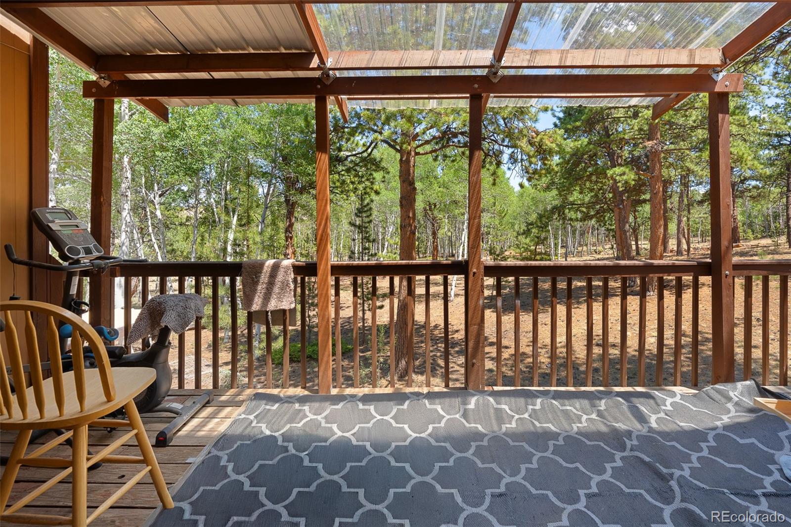 MLS Image #29 for 114  ranier lane,hartsel, Colorado