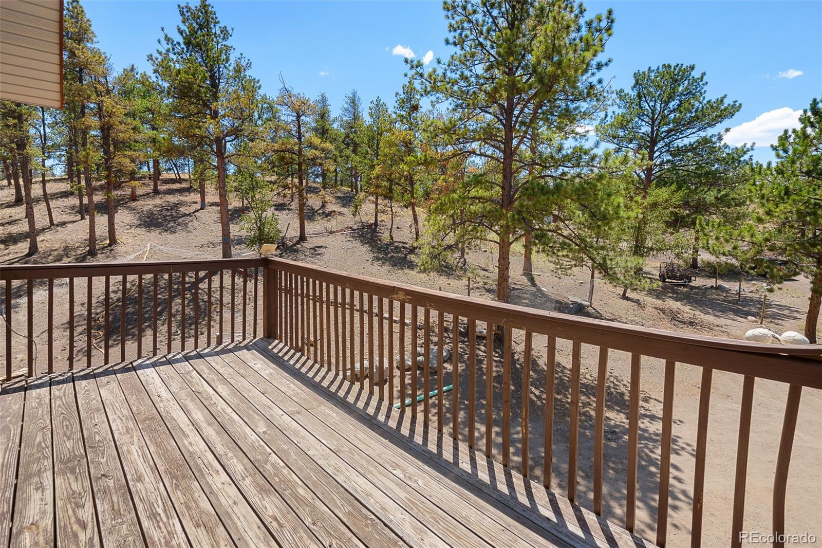 MLS Image #36 for 114  ranier lane,hartsel, Colorado