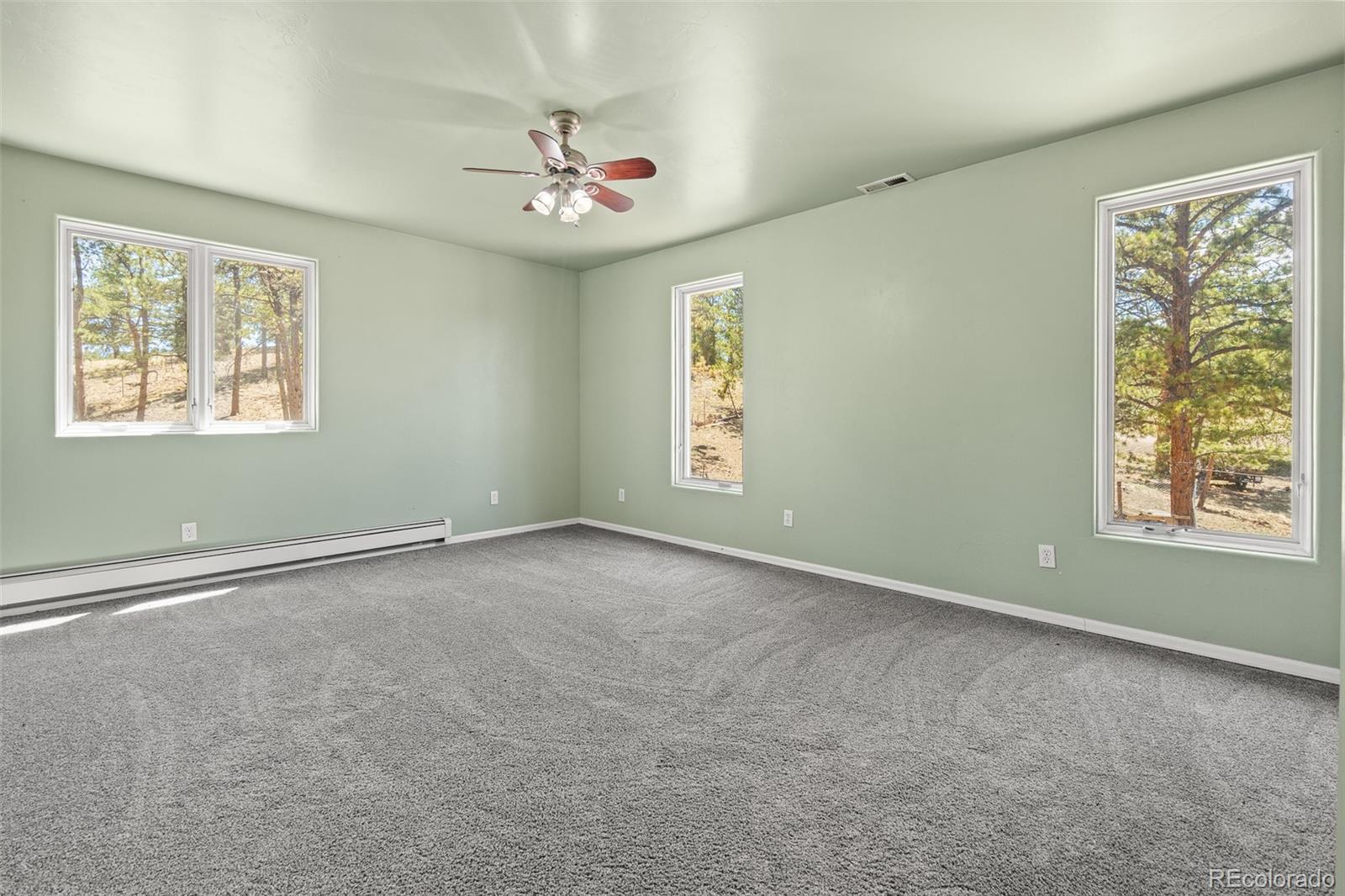 MLS Image #41 for 114  ranier lane,hartsel, Colorado