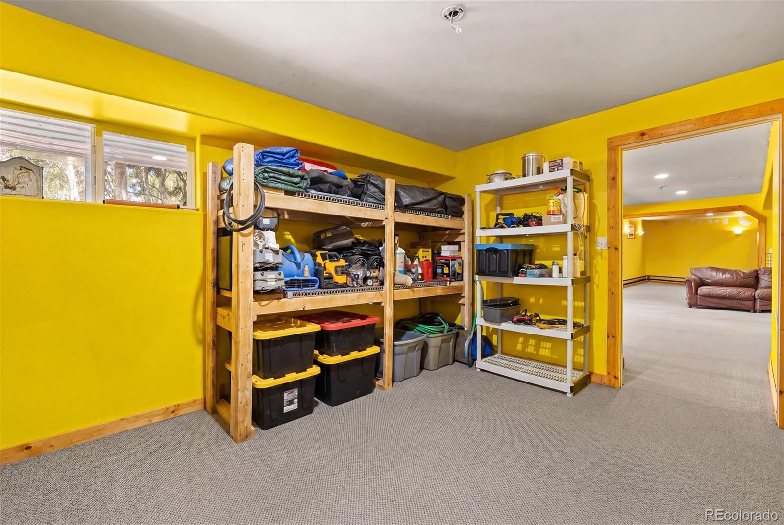 MLS Image #47 for 114  ranier lane,hartsel, Colorado