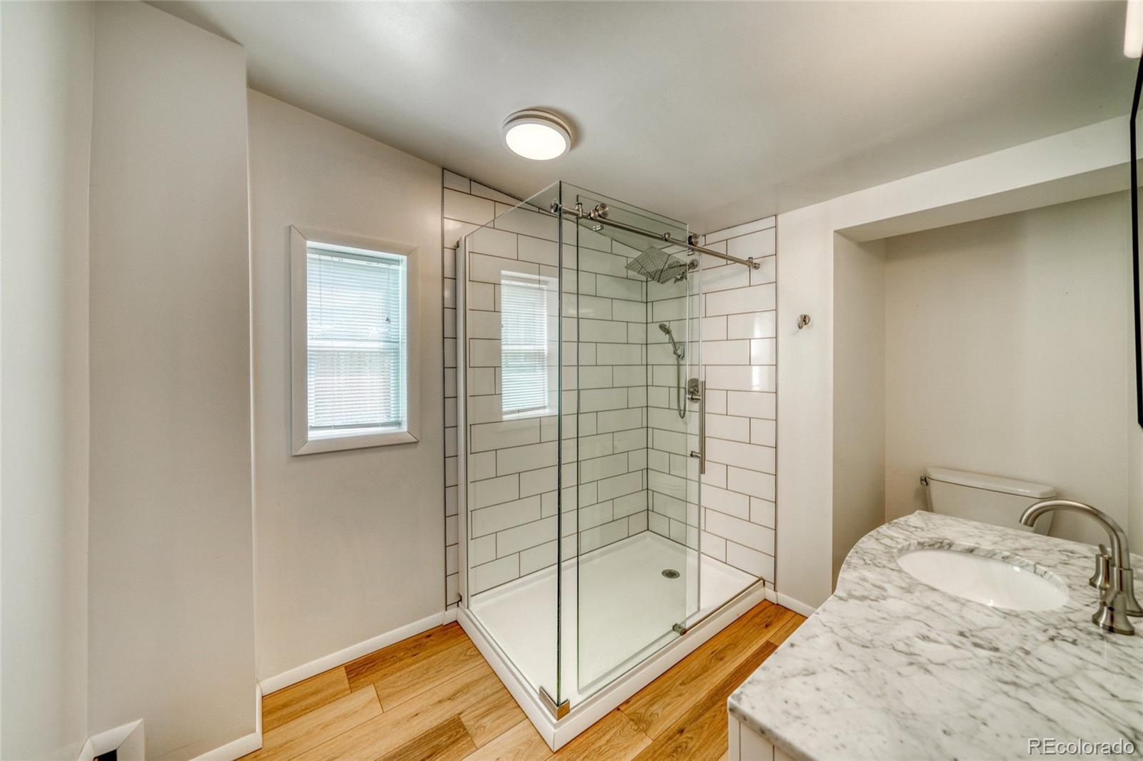 MLS Image #20 for 215  elm street,leadville, Colorado