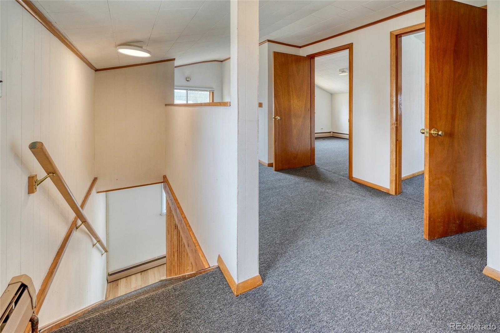 MLS Image #22 for 215  elm street,leadville, Colorado