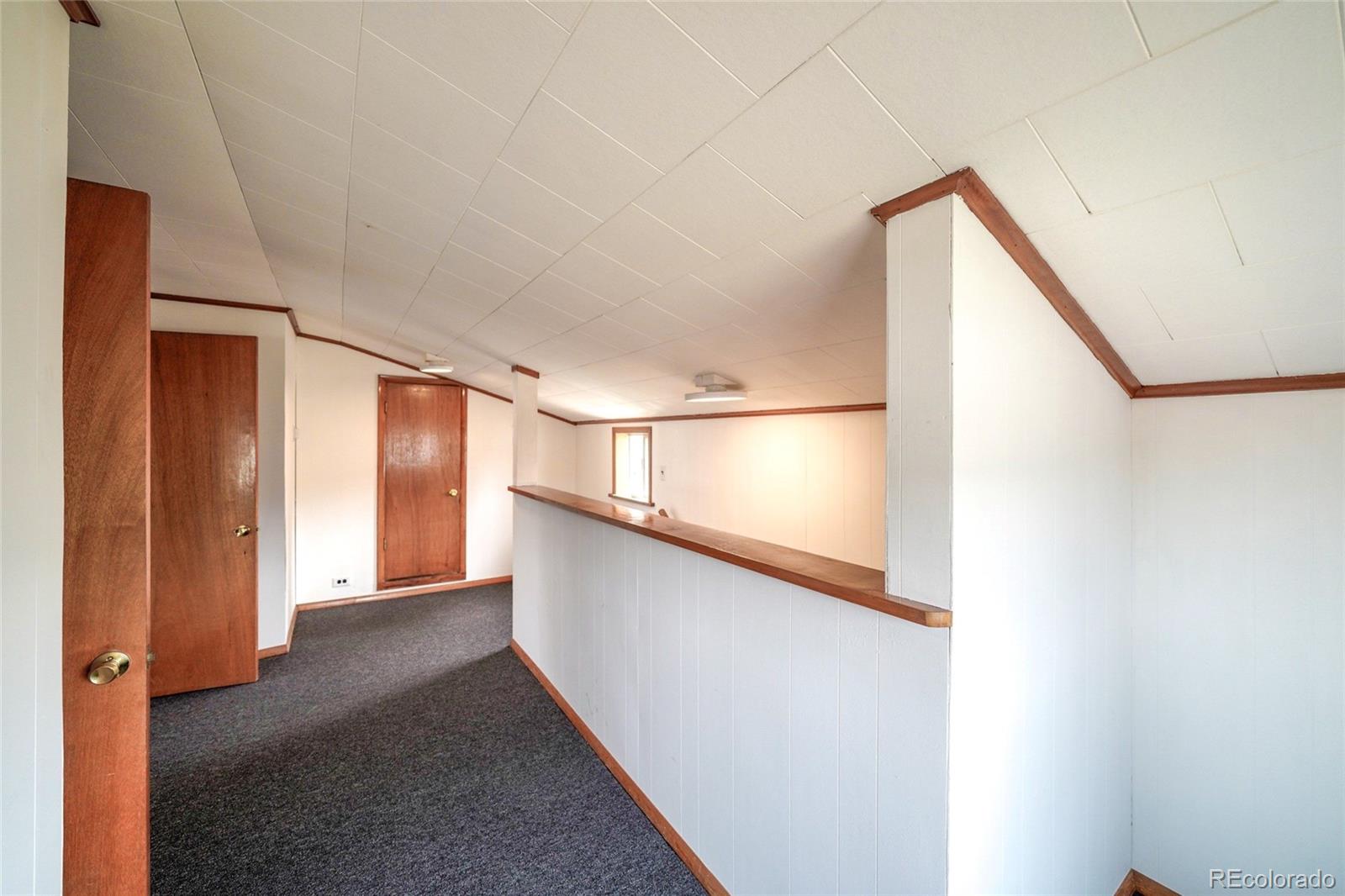 MLS Image #23 for 215  elm street,leadville, Colorado