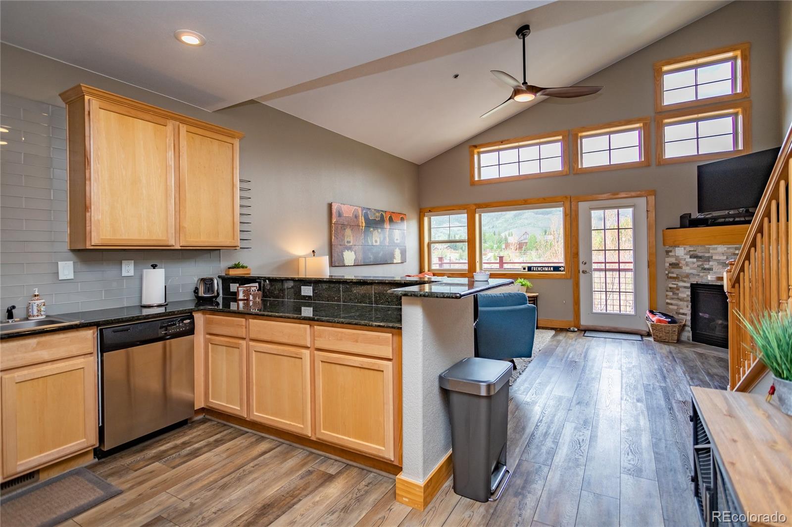 MLS Image #3 for 135  main street,dillon, Colorado
