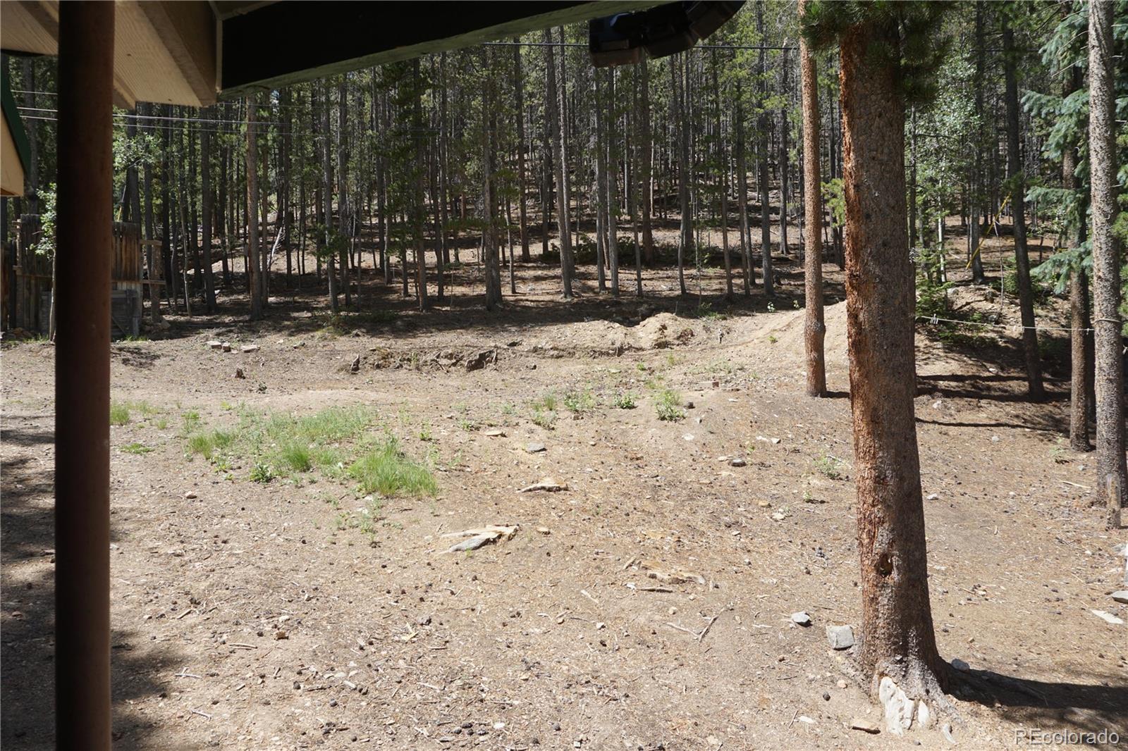 MLS Image #10 for 7823  county road 43 ,bailey, Colorado