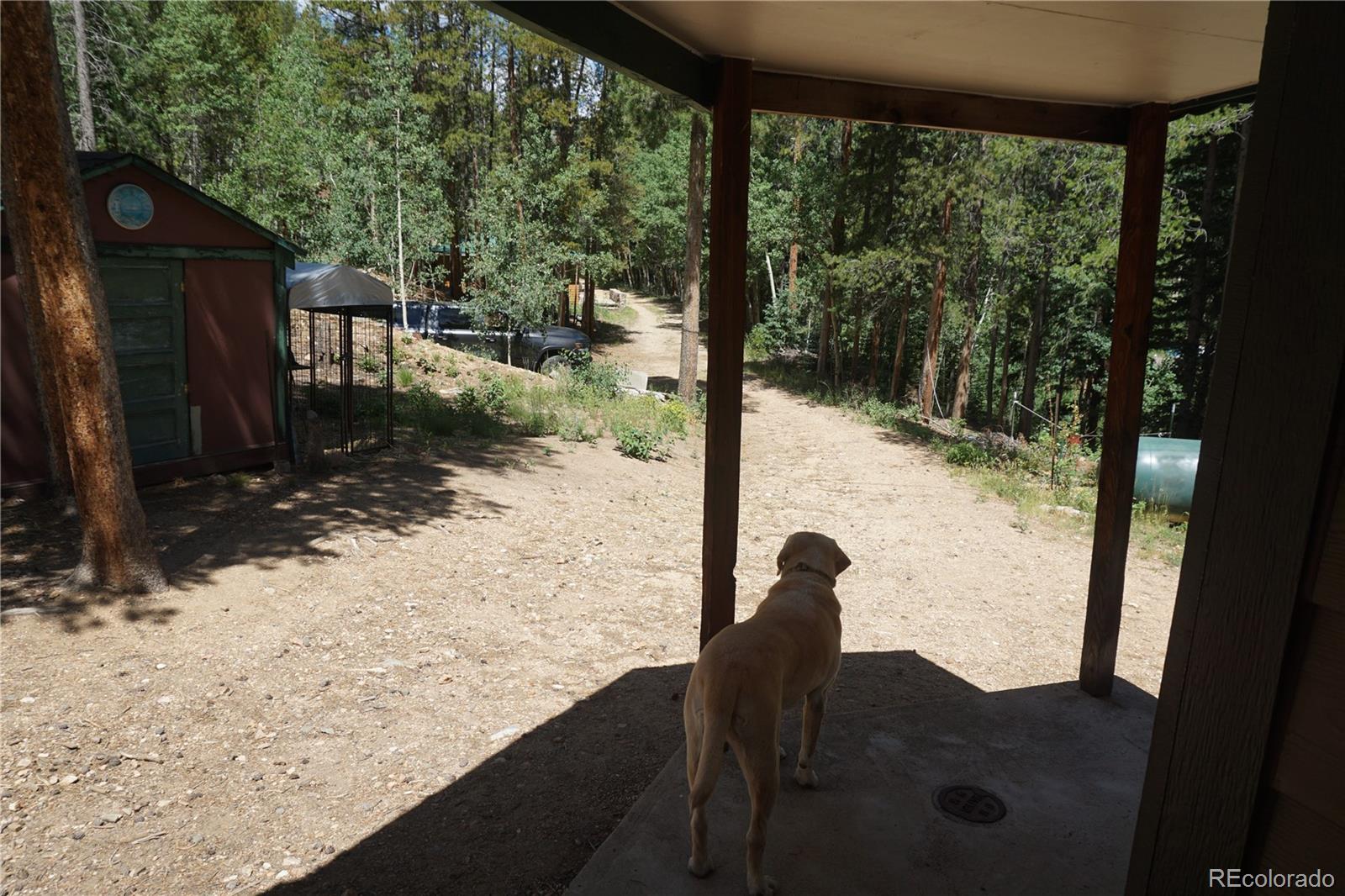MLS Image #11 for 7823  county road 43 ,bailey, Colorado